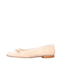 Antonio Paolo Instappers Elias Camel