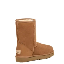 Ugg Boots 5800 Cognac
