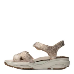Xsensible Sandalen 30312.5.446 H Taupe