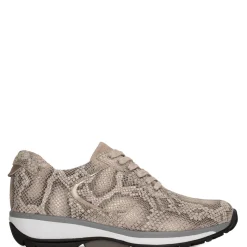 Xsensible Veterschoenen 30001.5.427 Beige