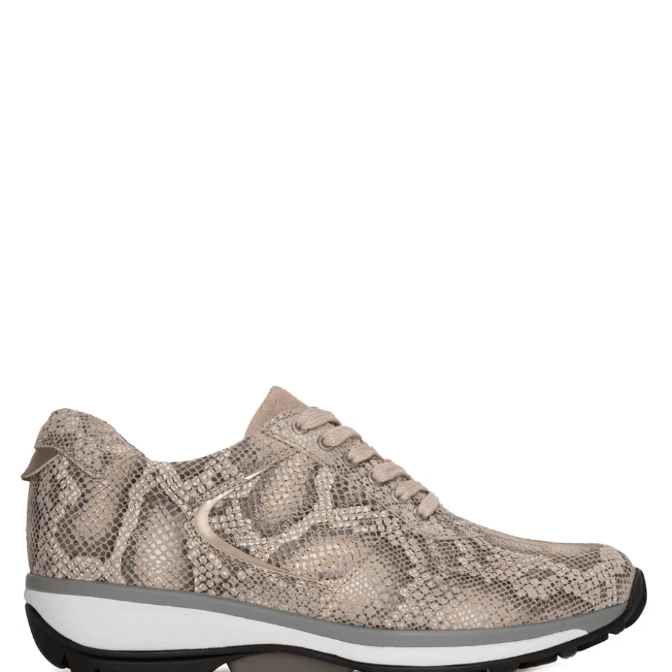 Xsensible Veterschoenen 30001.5.427 Beige